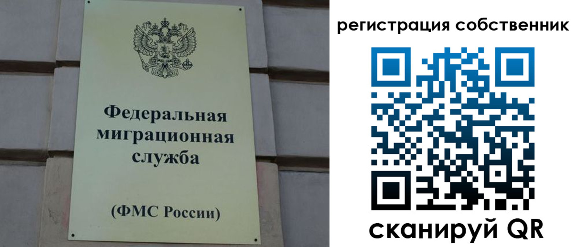прописка гарантия в Амурске